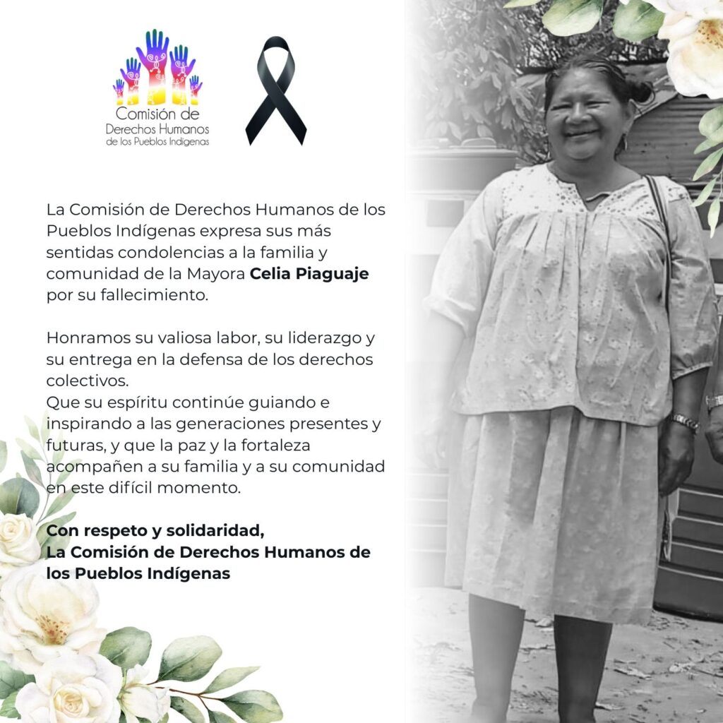 594967088 1194428162830749 509648428086844402 n