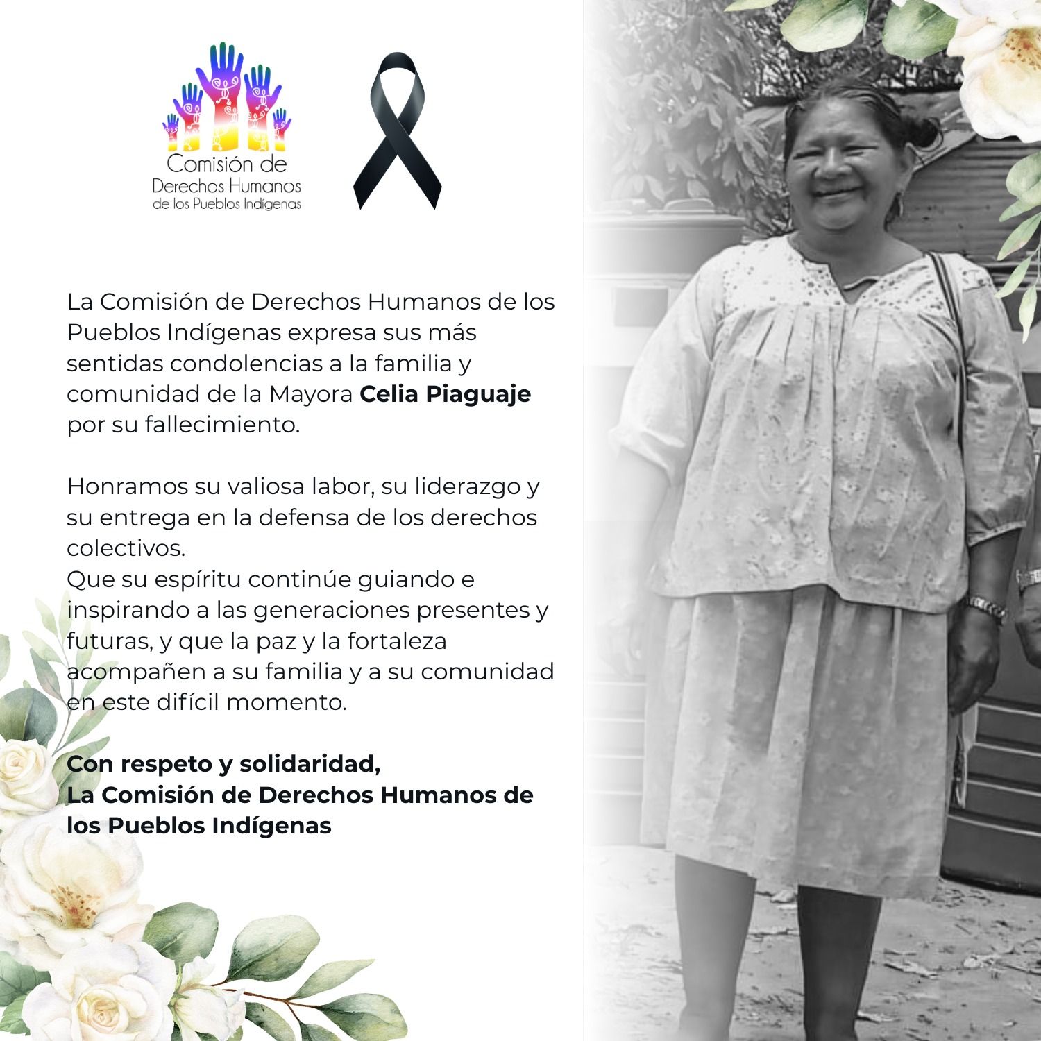 594967088 1194428162830749 509648428086844402 n