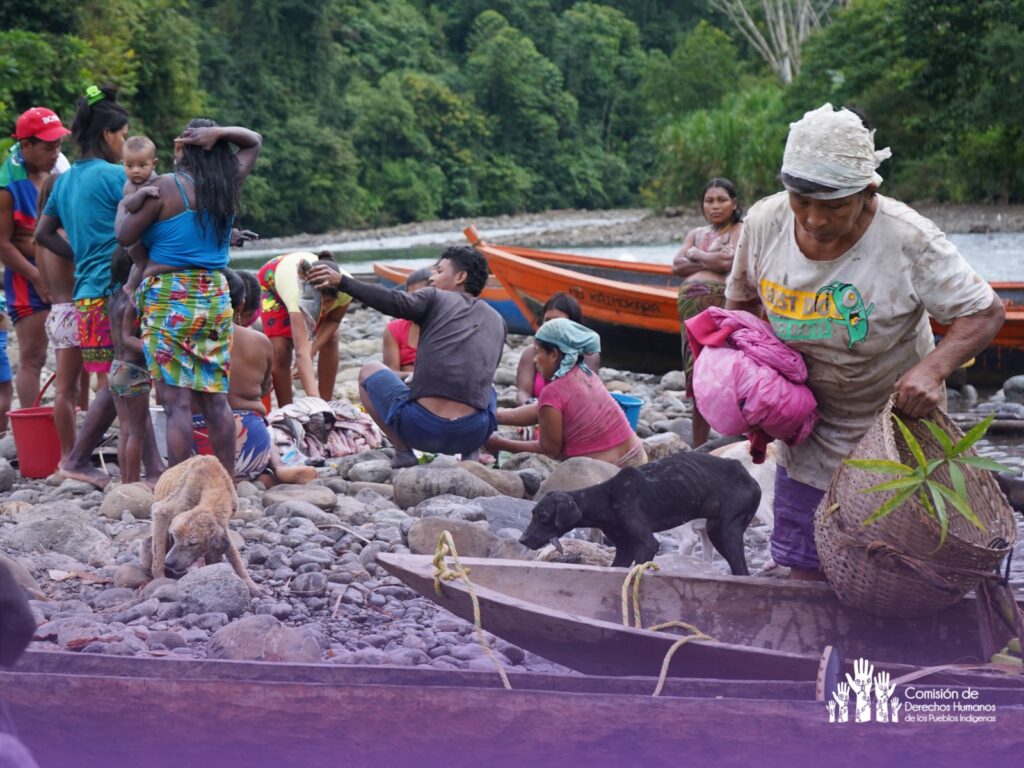 597109802 1196018566005042 2488625326049022363 n